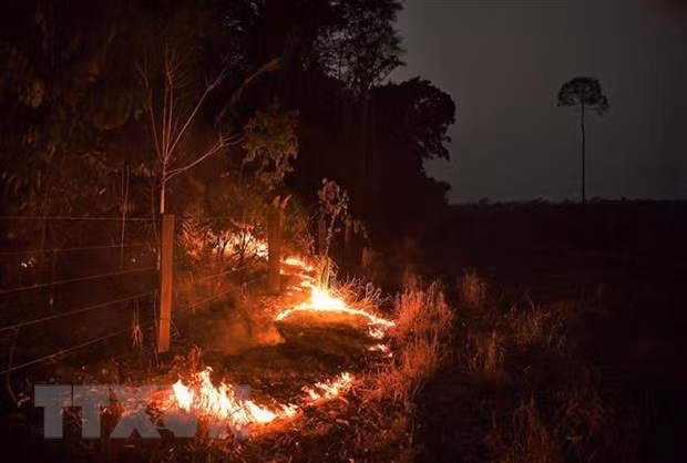 Feux de forêt : plus de 2.500 points chauds localisés en Asie du Sud-Est ảnh 1