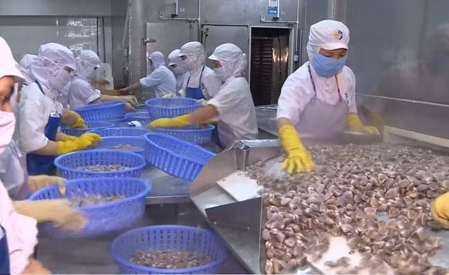 Les exportations de produits aquatiques vers la Chine devraient atteindre 1,2 mld de dollars en 2019 ảnh 1