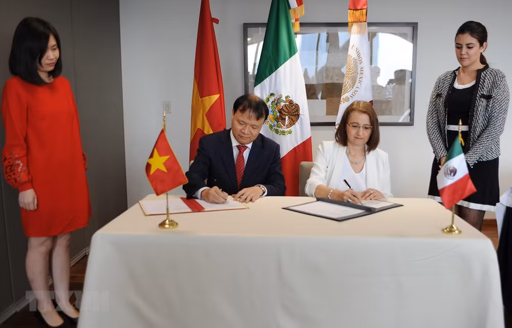 La 2e réunion du Comité mixte Vietnam-Mexique sur la coopération économique ảnh 1