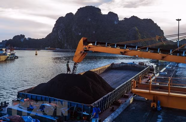 Vinacomin produit 14,86 millions de tonnes de charbon brut depuis janvier ảnh 1