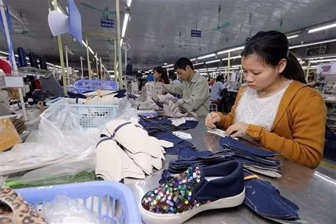 Vers un nouvel élan du secteur de la chaussure et du cuir ảnh 1