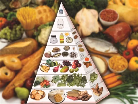 Tu Giây, le nutritionniste avant-gardiste vietnamien ảnh 2