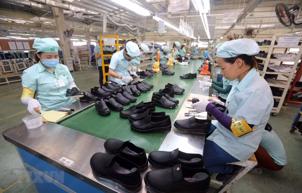 Vers un nouvel élan du secteur de la chaussure et du cuir ảnh 2