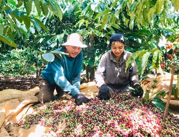Connexion de la consommation et de l'exportation des produits agricoles vers l'Algérie et le Sénégal ảnh 1