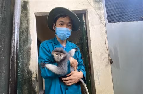 À Thao Câm Viên, les animaux sont aidés pour surmonter la crise du COVID-19 ảnh 2