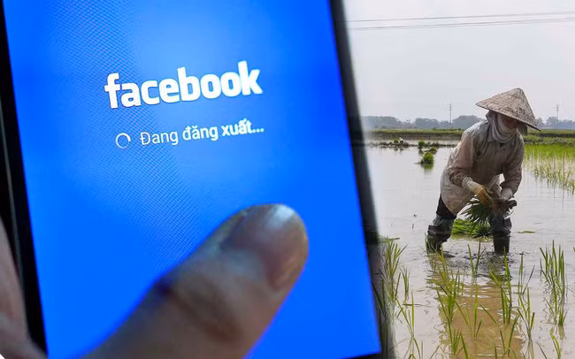Nikkei Asia: Facebook montre la surprise aux utilisateurs ruraux du Vietnam ảnh 1