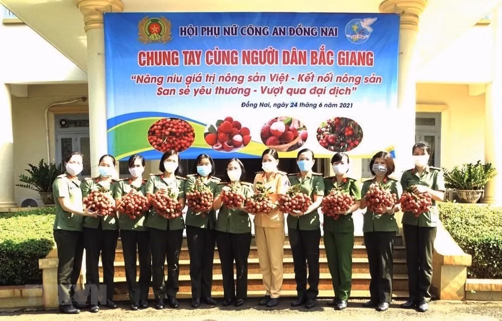 Dong Nai promeut la consommation de litchi « thieu » de Bac Giang ảnh 1
