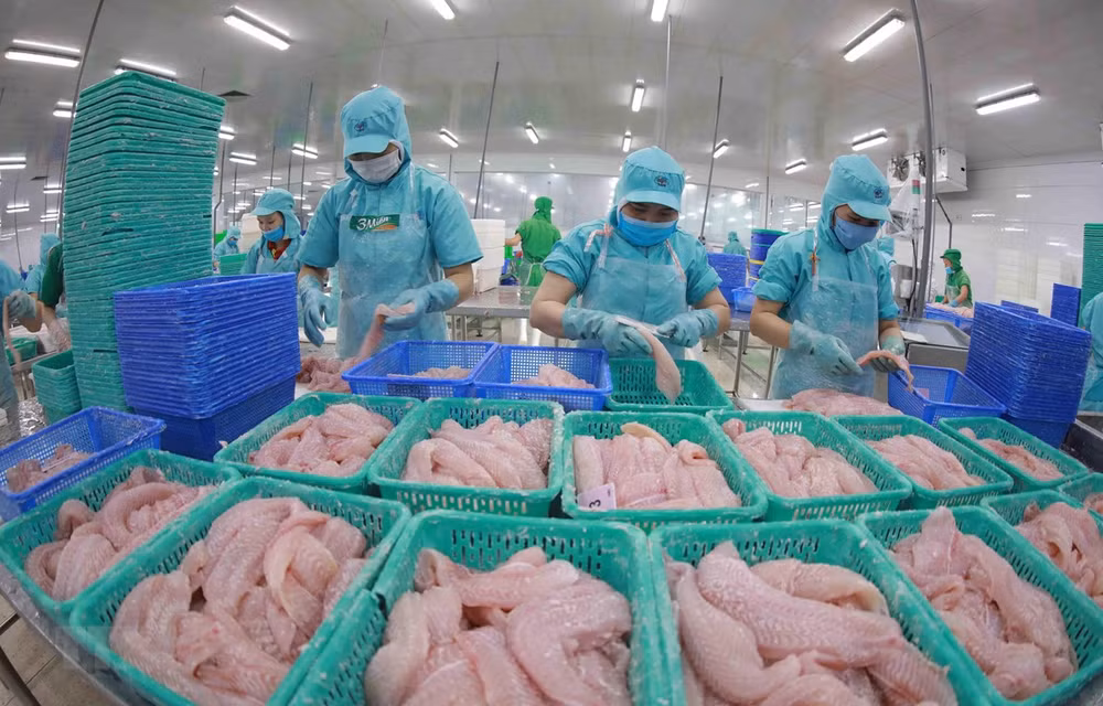 Vietnam-Japon renforcent leur coopération dans la transformation des produits alimentaires ảnh 2