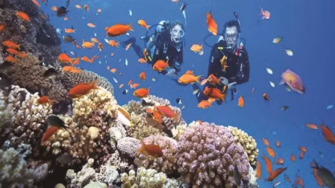 À la découverte du monde de l'eau au Vietnam ảnh 1