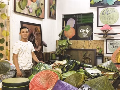 Feuilles de lotus, source d’inspiration infinie pour un jeune peintre huéen ảnh 1