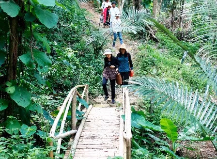 Binh Thuan promeut le développement de produits touristiques associés à une agriculture durable ảnh 1