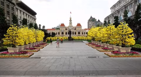  La rue florale Nguyên Huê au Têt du Singe ảnh 2