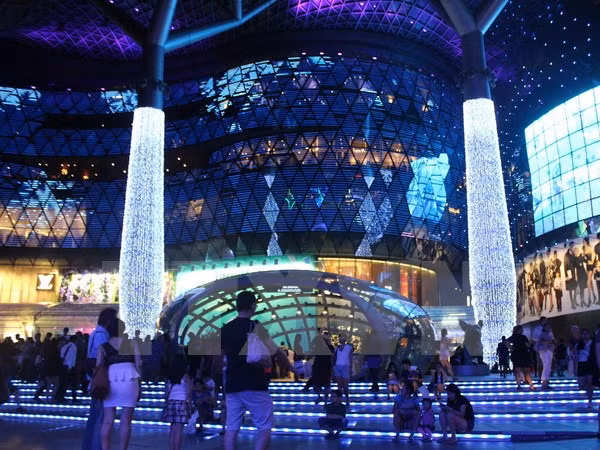 AEC : Singapour est prêt pour « le grand terrain de jeu » ảnh 1