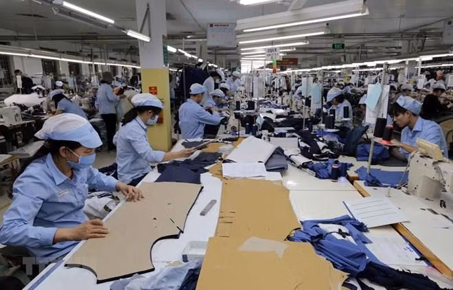 Les exportations de vêtements-textile et de chaussures en cuir en hausse de 10,5% ảnh 1