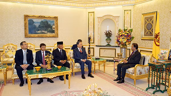 Le ministre vietnamien de la Sécurité publique rend une visite de courtoisie au sultan de Brunei ảnh 1