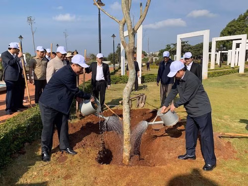 Lancement de la fête de plantation d’arbres dans différentes localités ảnh 1