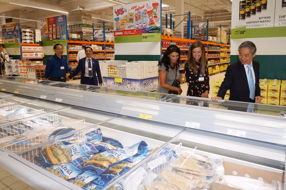 L'EVFTA donne un nouvel élan aux relations économiques entre le Vietnam et la R. tchèque ảnh 1