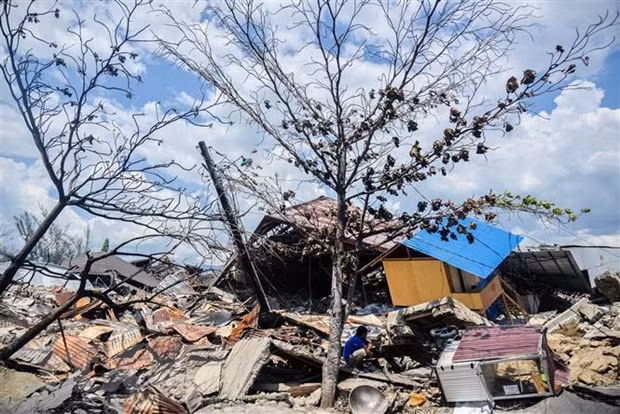 Le Japon accorde un prêt à l’Indonésie pour atténuer les catastrophes naturelles ảnh 1
