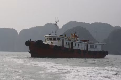 Vinacomin allège sa part dans Vicosa et se restructure ảnh 1