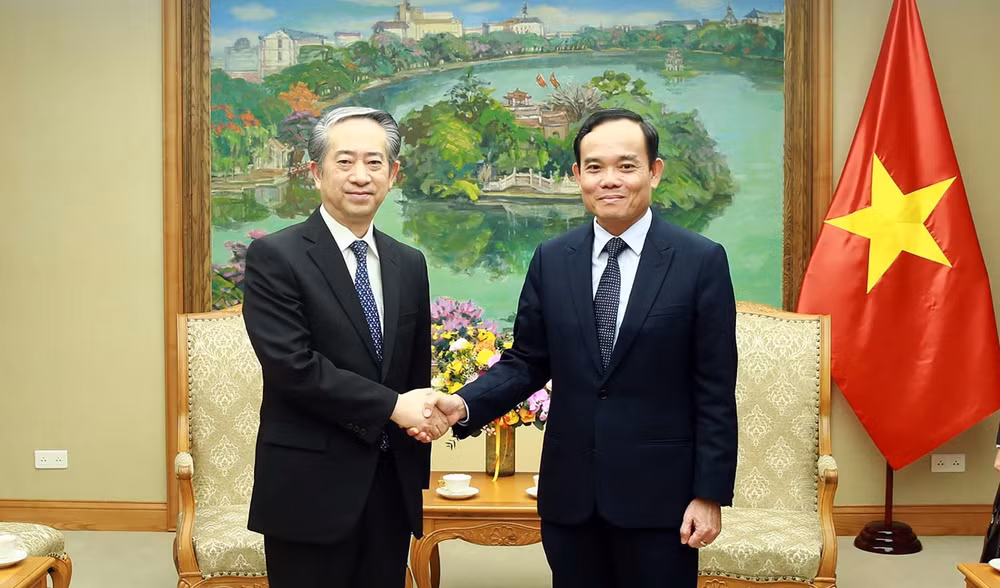Le vice-Premier ministre Tran Luu Quang reçoit l’ambassadeur de Chine au Vietnam ảnh 1