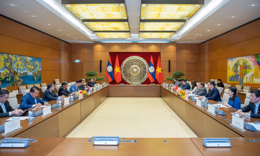 Les Assemblées nationales du Vietnam et du Laos consolident leurs liens ảnh 1