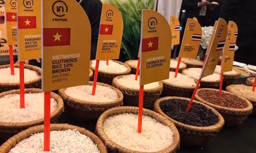 Conditions favorables pour les exportations de riz du Vietnam ảnh 1
