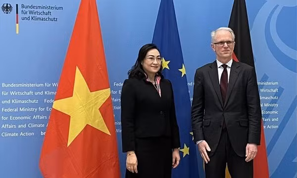Deuxième réunion du Comité mixte de coopération économique Vietnam-Allemagne ảnh 1