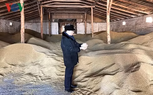 Tran Ngoc Tuan, un fermier vietnamien en Russie ảnh 1