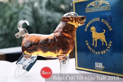 Services et marchandises du Têt placé sous le signe du Chien ảnh 2