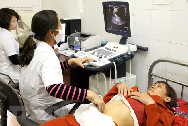 Le Japon offert des équipements médicaux à la province de Ninh Thuan ảnh 1
