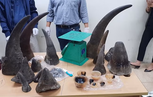 Hanoi : Un transporteur de cornes de rhinocéros condamné à 5 ans de prison ảnh 1
