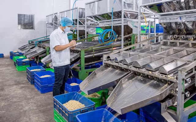 La filière de la noix de cajou abaisse sa valeur d’exportations à 3,2 milliards de dollars ảnh 1
