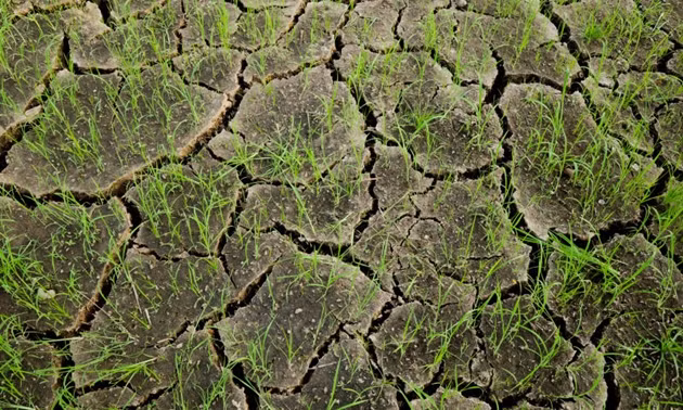 Face à la sécheresse : la Thaïlande accélère la construction de réservoirs d’eau ảnh 1