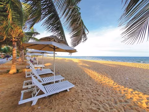 Promotions de Saigontourist lors du Festival du tourisme ảnh 1