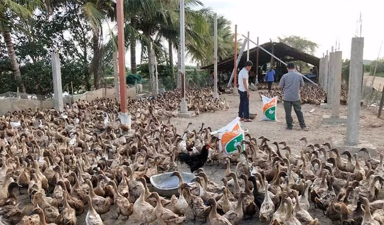 Le Cambodge exhorte les chômeurs touchés par le Covid-19 à se lancer dans l’agriculture ảnh 1