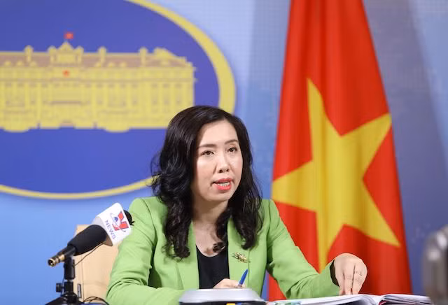 Le Vietnam souhaite voir la communauté internationale repousser le COVID-19 ảnh 1