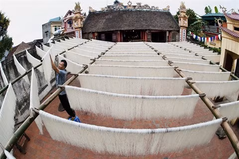 Les délicieuses nouilles de riz traditionnelles du village de métier de Hùng Lô ảnh 1