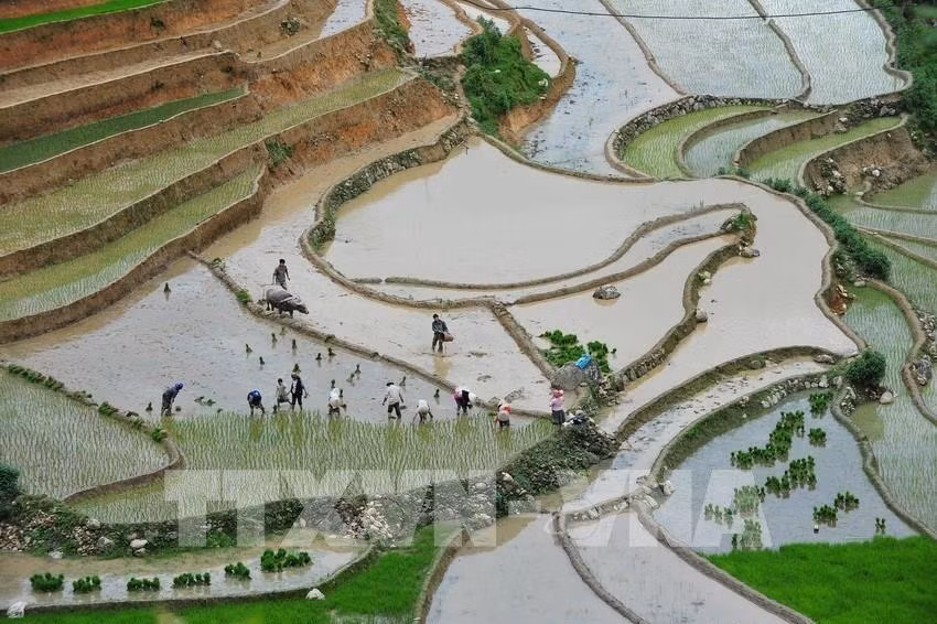 Yên Bai : Bientôt les activités touristiques de la Saison d’eau 2020 ảnh 1