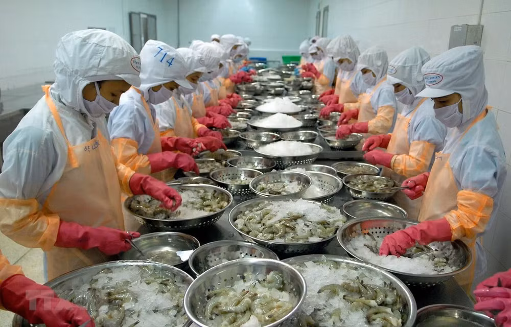 Les exportations de produits aquatiques en 2019 laissent à désirer ảnh 1 Les exportations de produits aquatiques en 2019 laissent à désirer ảnh 1
