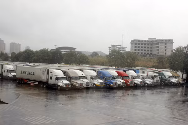 Coronavirus/Lao Cai : Dédouanement de 580 tonnes supplémentaires de produits agricoles ảnh 1