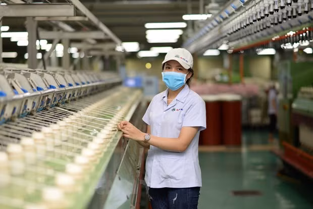 L’EVFTA favorisera l’exportation des produits phares du Vietnam vers l’UE ảnh 1