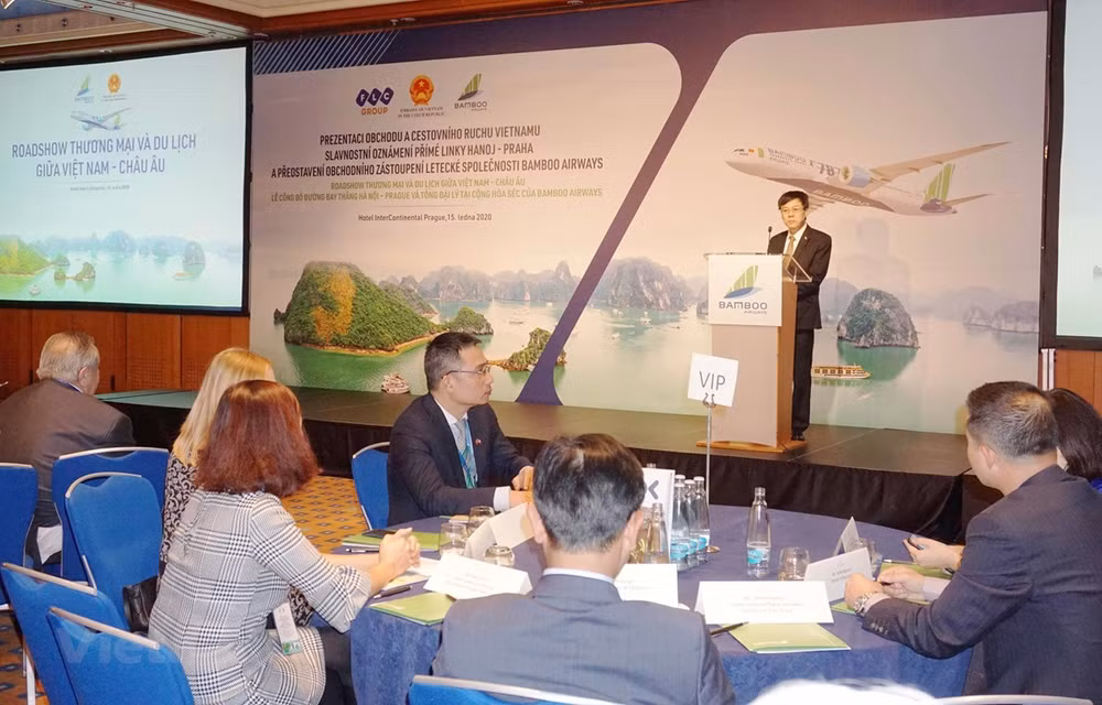 Bientôt une ligne aérienne directe entre le Vietnam et la République tchèque ảnh 1