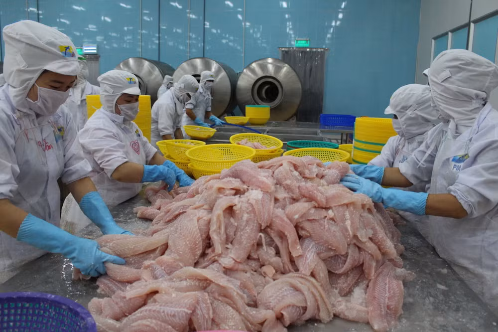 Tien Giang : bond des exportations dès le début de l’année ảnh 1