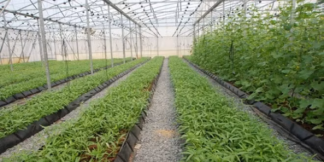 Dak Nông lance un appel aux investisseurs dans le tourisme, l’agriculture et la sylviculture ảnh 1
