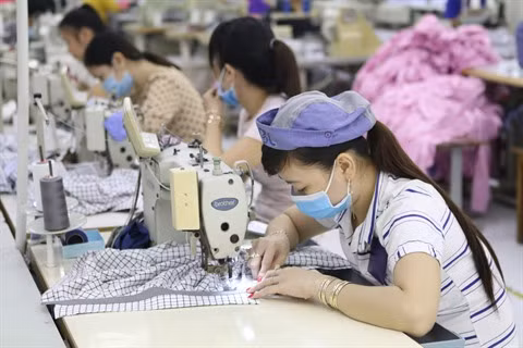 Hô Chi Minh-Ville: Reprise d’après Têt sans encombre dans les entreprises des ZI et ZF ảnh 1