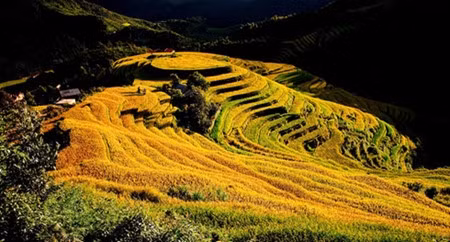 Yên Bai: Destination phare du Nord-Ouest ảnh 1