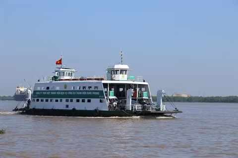 Cân Gio : nature et histoire à la croisée des chemins ảnh 1