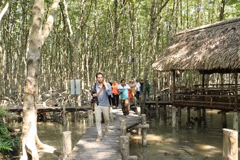 Cân Gio : nature et histoire à la croisée des chemins ảnh 2