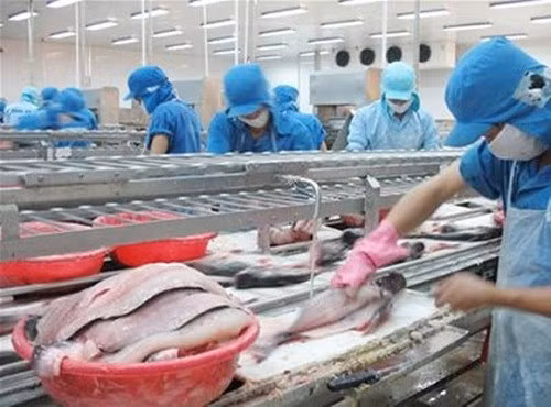 Accélération de la délivrance du certificat électronique de l’UE aux produits aquatiques vietnamiens ảnh 1