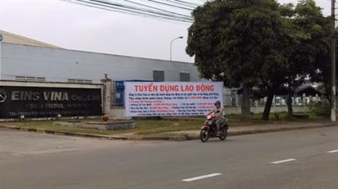 Des entreprises ont «soif» des travailleurs après le Têt traditionnel ảnh 2